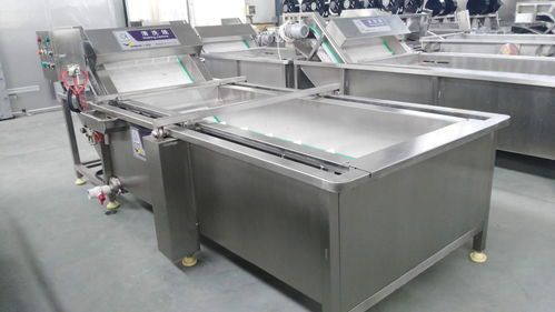 萬利源紅棗清洗烘干與姑娘果清洗去皮機 食品機械設備的洗滌革新